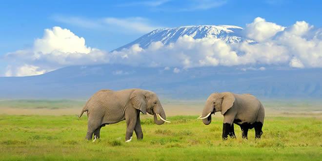 Amboseli-National-Park-Kenya Overlooking Kilimanjaro