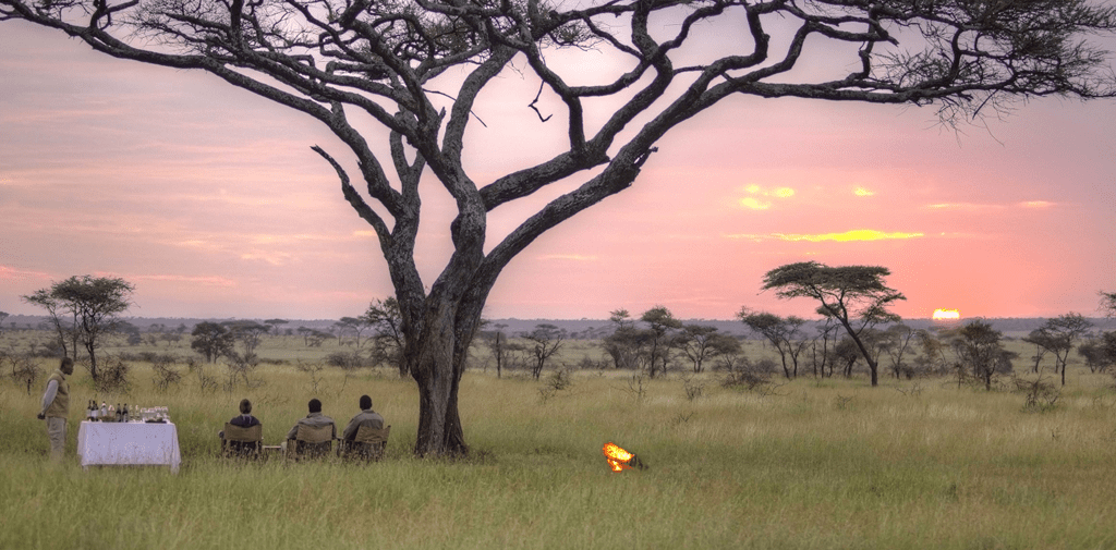 Kenya and Tanzania Safaris - Africa holidays