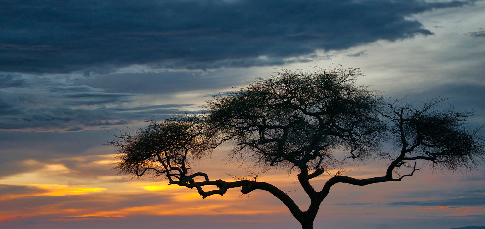 Sunset Katavi National Park Tanzania
