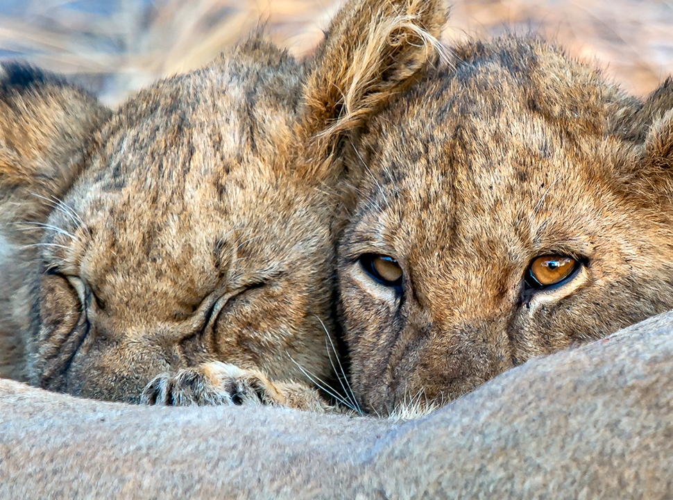 Self drive in Tanzania Katavi National Park