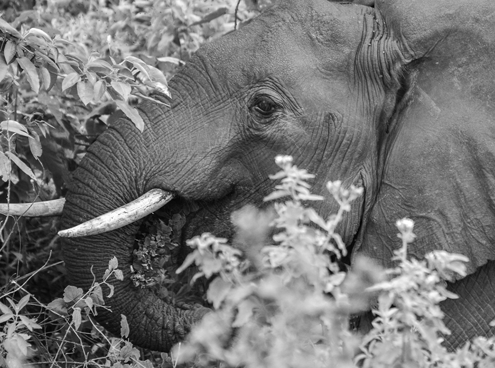 Tanzania self drive tours